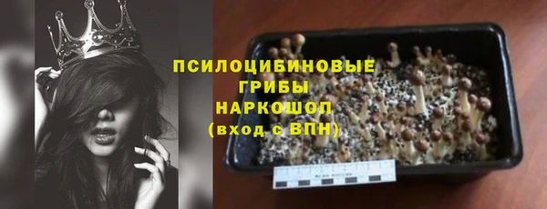 МДПВ Алзамай