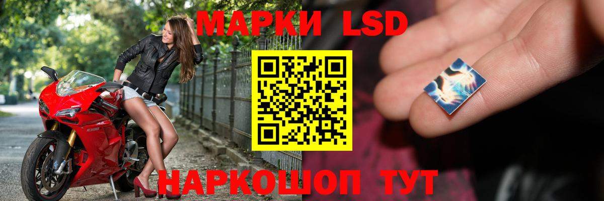 ОМГ ОМГ зеркало  Лсд 25 экстази ecstasy  Вход с VPN  Курчалой  Лсд 25 экстази кислота 
