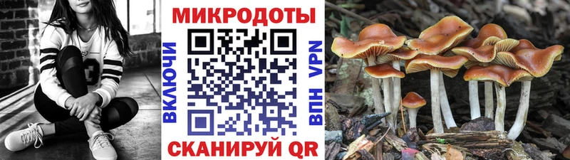 Галлюциногенные грибы мухоморы  Курчалой 