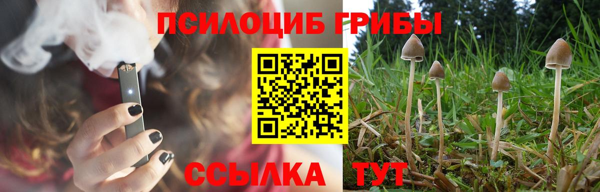 COCAIN  Вход с VPN  Курчалой  МЕФ   A PVP СК   ГАШ  Каннабис 