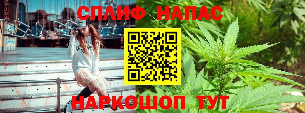 Бошки марихуана LSD WEED  Бошки Шишки марихуана  Вход с VPN  Шишки марихуана MAZAR  Курчалой 